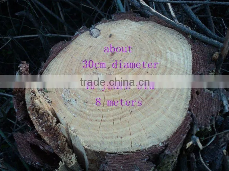strand woven flooring grey bamboo floor bamboo decking