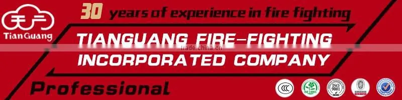 portable 1kg ABC dry power fire extinguisher