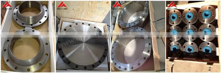 large diameter titanium flange