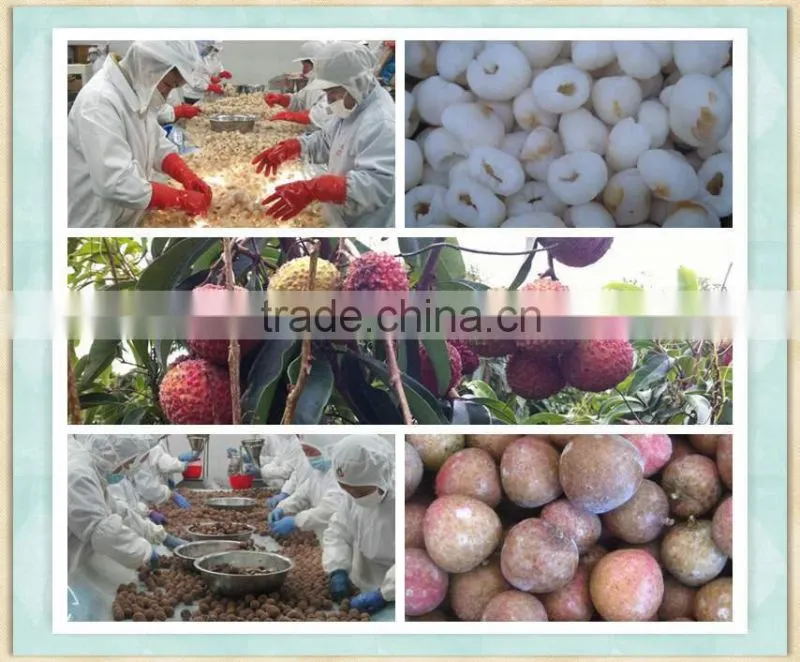 Sinocharm Fresh Peeled Frozen Lychee