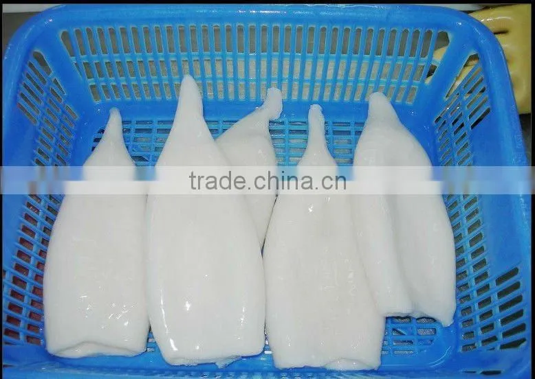 frozen todarodes squid tube u5 u7 u10