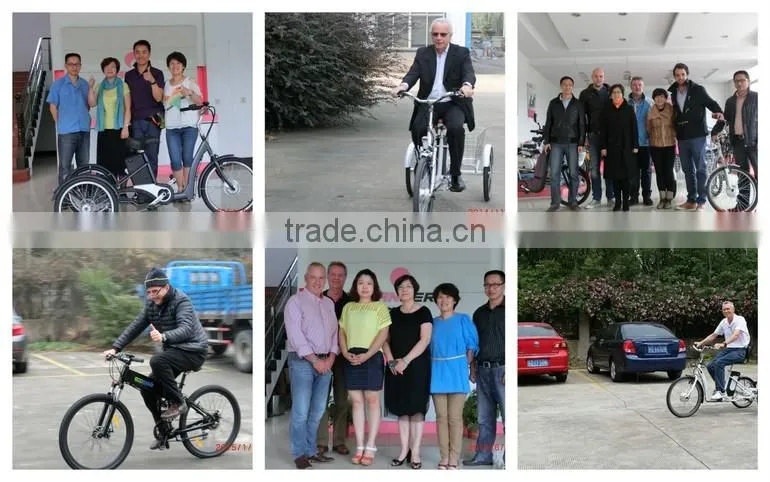 Electric scooter bicycle