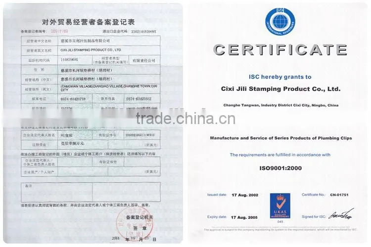 China supplier/China Manufacturer/special head screw/pipe clamp hanger