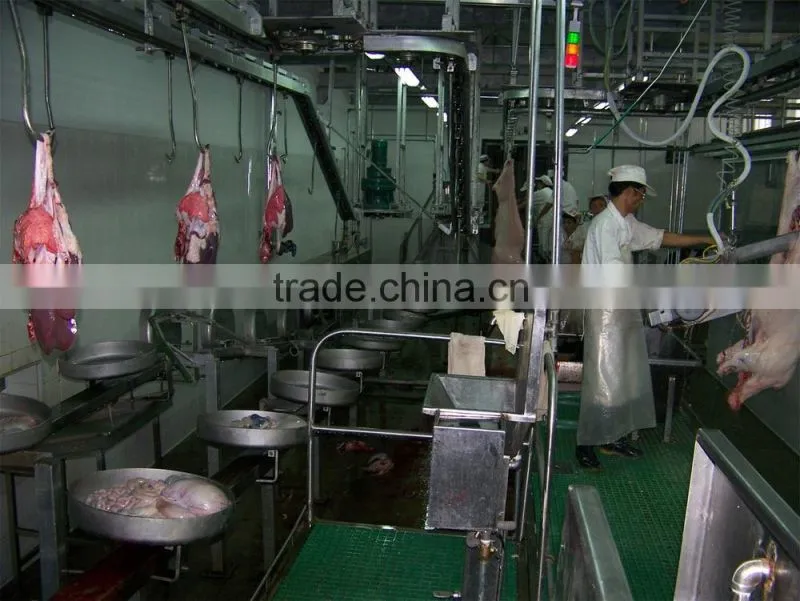 Pig carcass plat