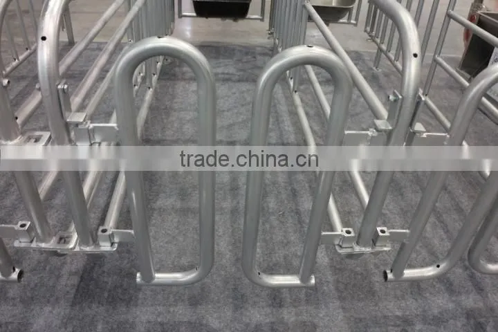 galvanized pipe for pig gestation stall