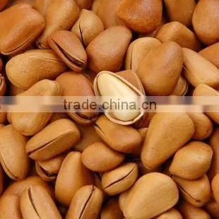 pine nut processing high quality