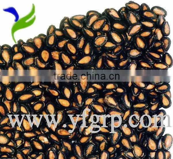 Chinese Yellow Watermelon Seed