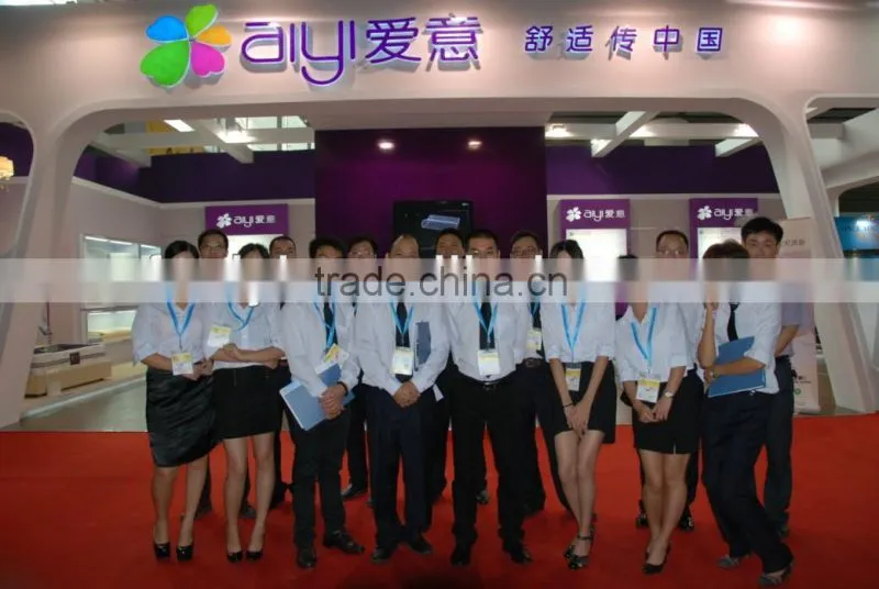 2014 New Design Compressed Memory Foam Mattress Topper