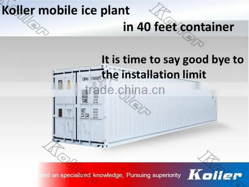 a simple ice block plant in container with cold room