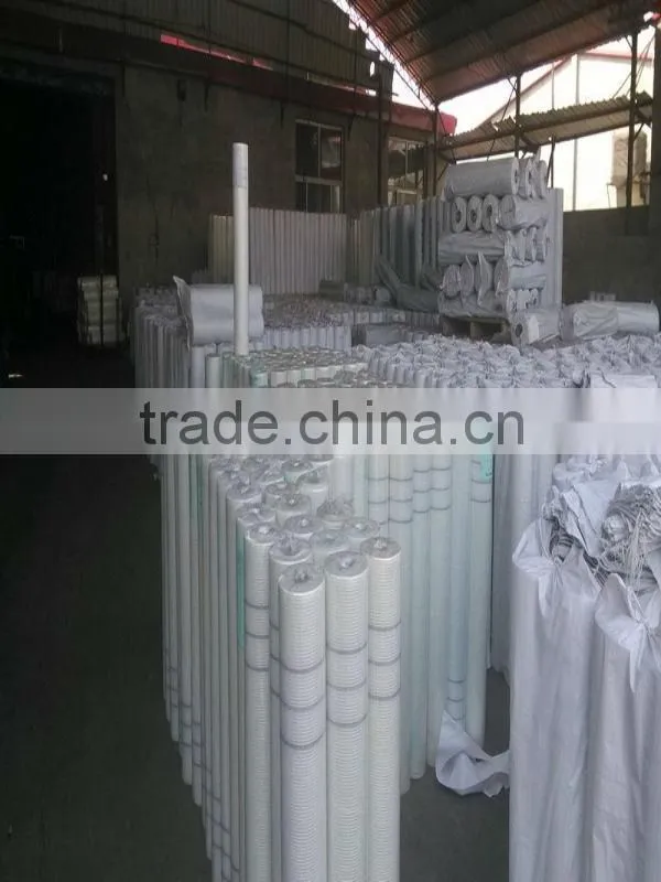 alkali-resisting fiber glass mesh