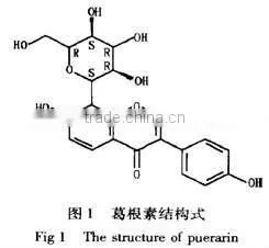 Puerarin extract