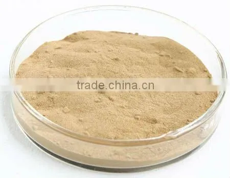 Bromelain 1200GDU /g Pineapple Extract