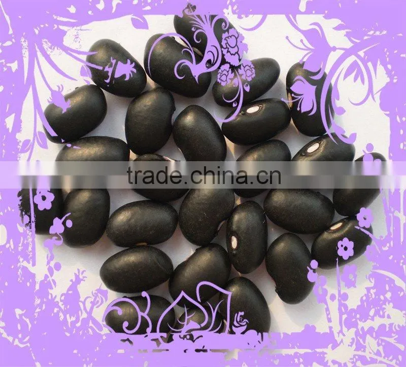 Small Black Kidney Bean
