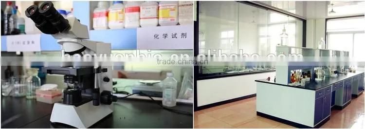 Powder Organic Bacterial Fertilizer