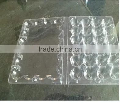 quail egg boxes