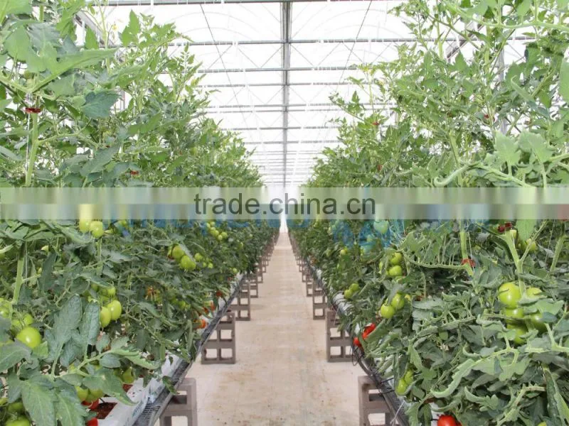 greenhouse film clamp