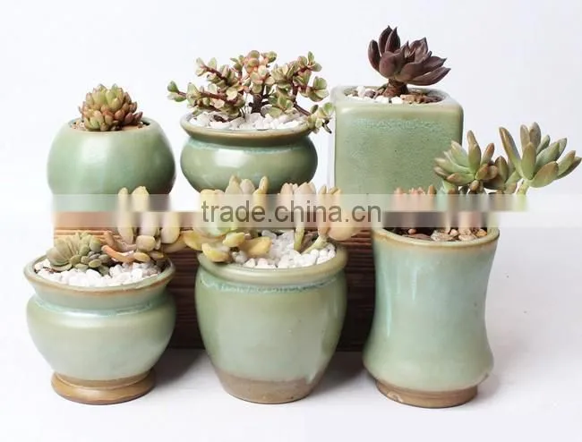 New design small indoor succulents ceramic flower pots