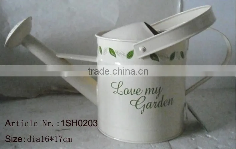 5L Garden water can powder coated