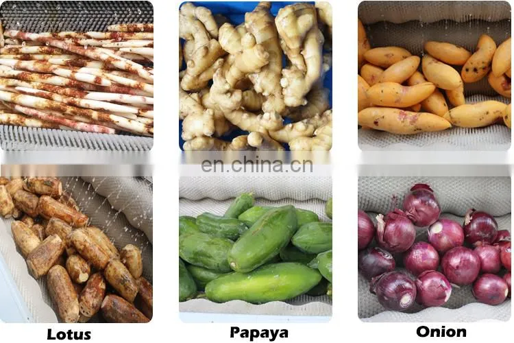 Industrial multi-function root vegetable date passion fruit lemon onion washer taro peeler babby carrot ginger peeling machine