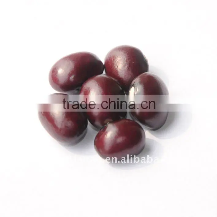 Purple round kidney bean