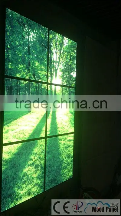 600*600 Virtual window panel