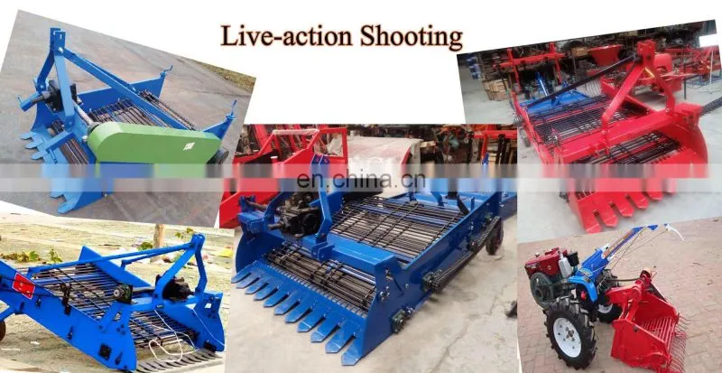 Tractor mounted yam harvester 2 rows sweet potato harvester