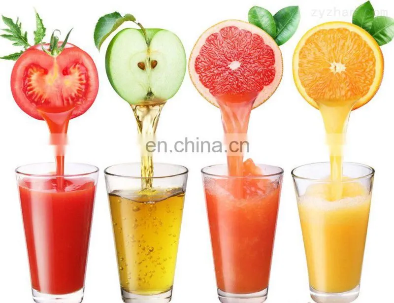 Factory cheap price cost of juice manufacturing plant best