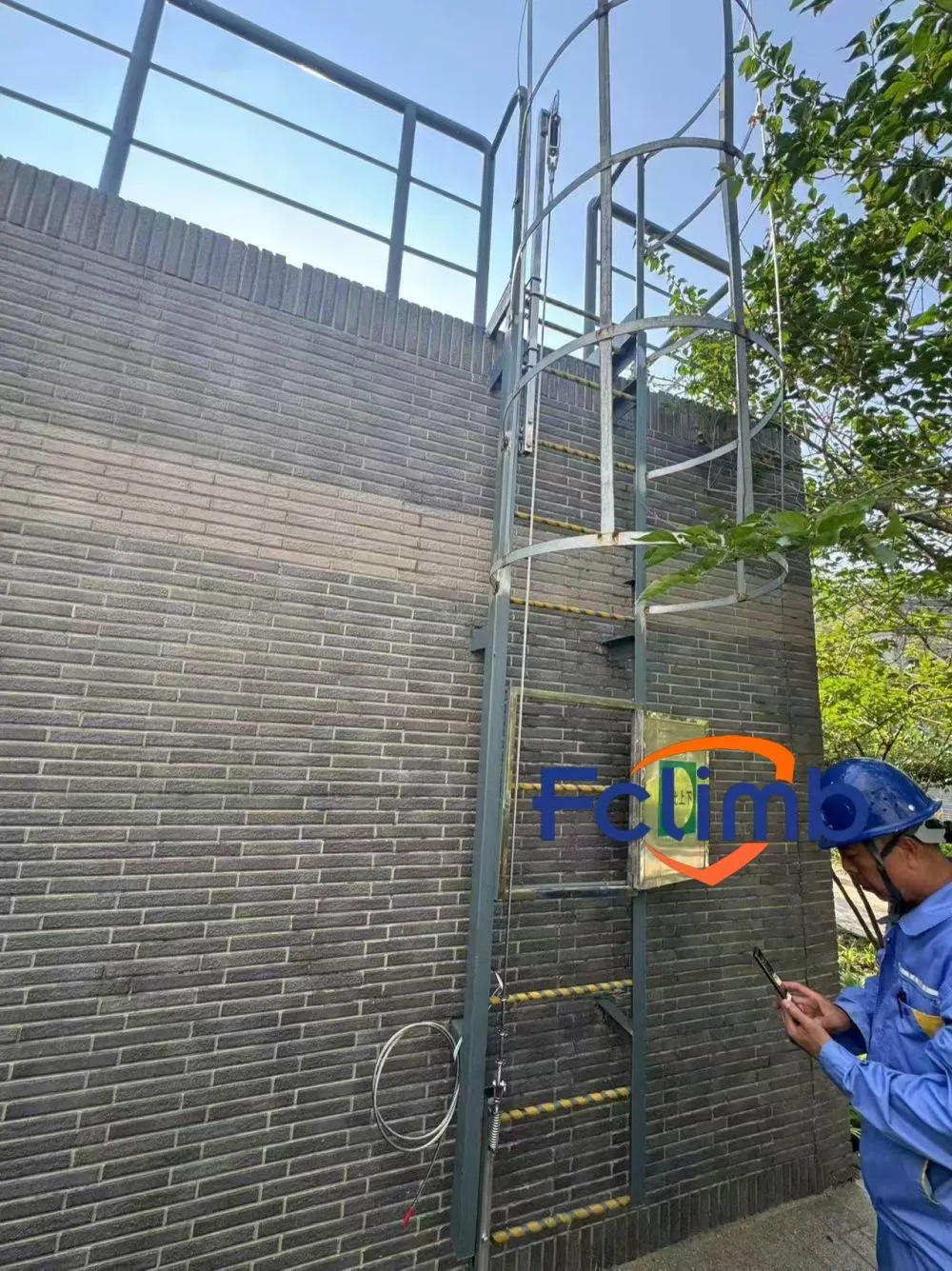 cage ladder JVL 3
