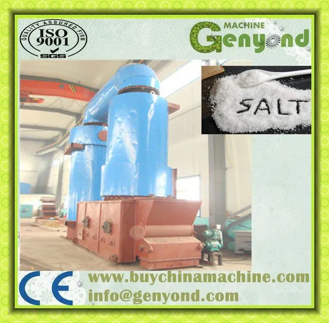 High Quality Salt Production Processing Line Plant Machine for Sale
