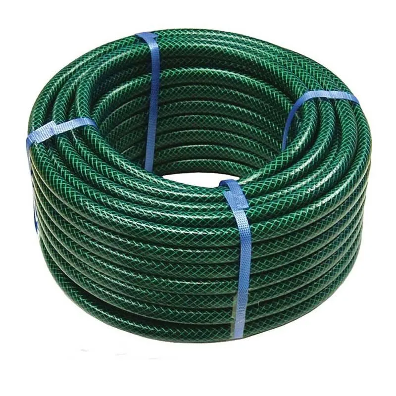 12.jpg.webp