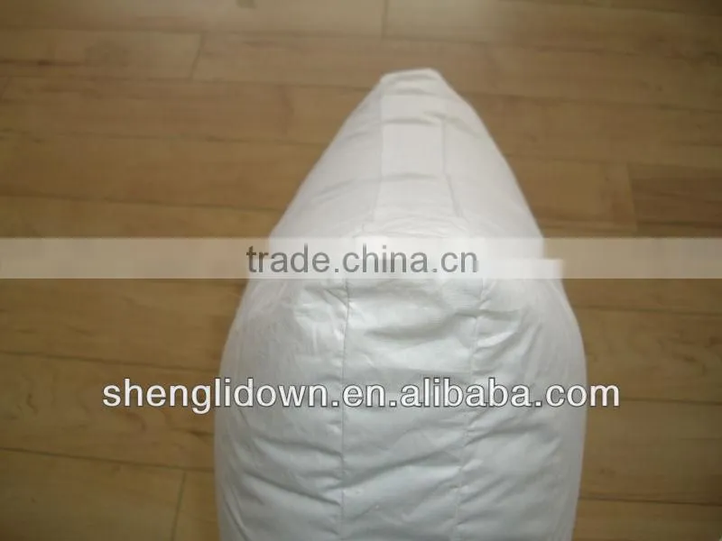 Down pillow with protector feather pillow cover