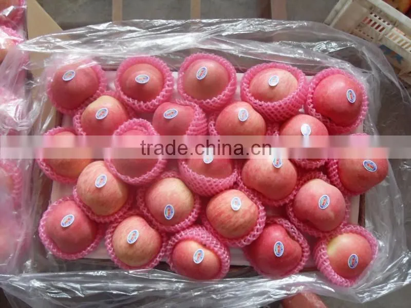 2015 Shandong origin fresh fuji apple