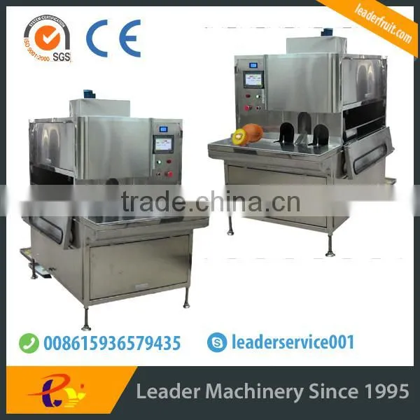 Leader medium-sized fruit skin removing machine for kiwi ,avocado, apple