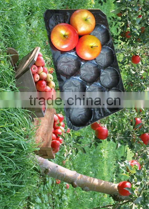 PP Food Packaging 39x59cm