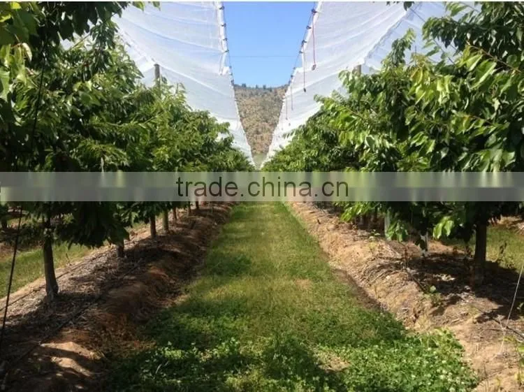 100% virgin HDPE woven greenhouse film /fruit tree cover /200 micron greenhouse film with more than 5 used years