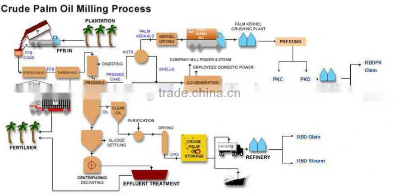 Reasonable price and high quality Palm Cake Oil Extraction Machine from China