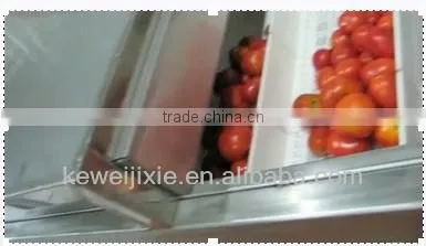 tomato paste production line