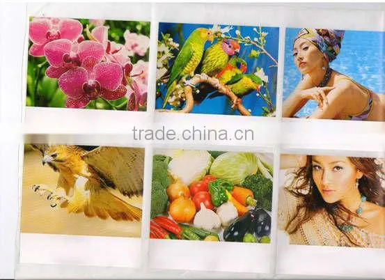Two Color Printing Machine (YT Series)