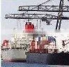 high quality sea shipping service in China