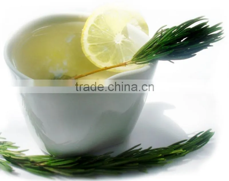Premium Quality Rosemary Herbs Tea