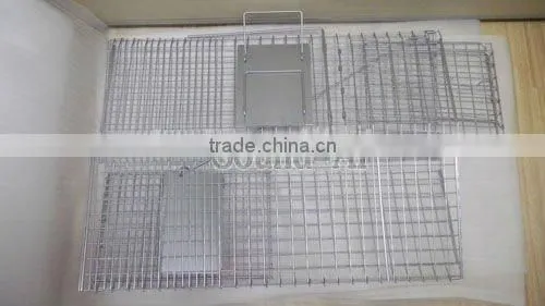 Collapsible One-door Live Animal Cage Trap For Raccon,Stray Cat,Groundhog, Opossum,Armadillos