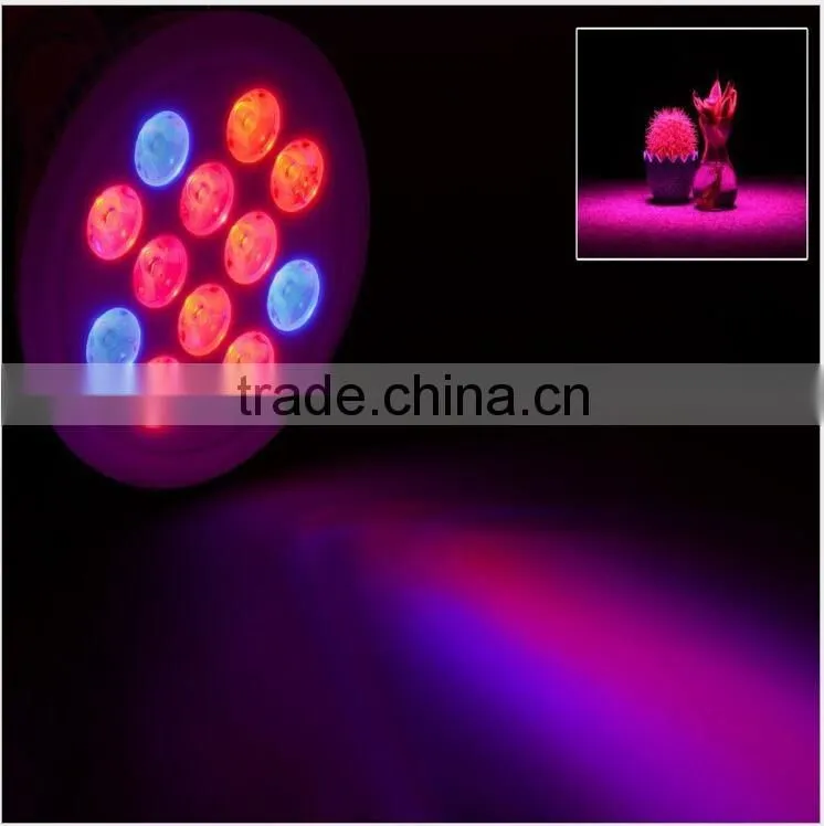 Wholesale High Quality OEM Spectrum 36W Outdoor Plant Light