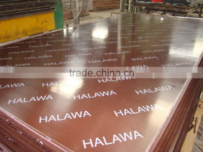 the best price film faced plywood/marine plywood/ formwork plywood manufacturer