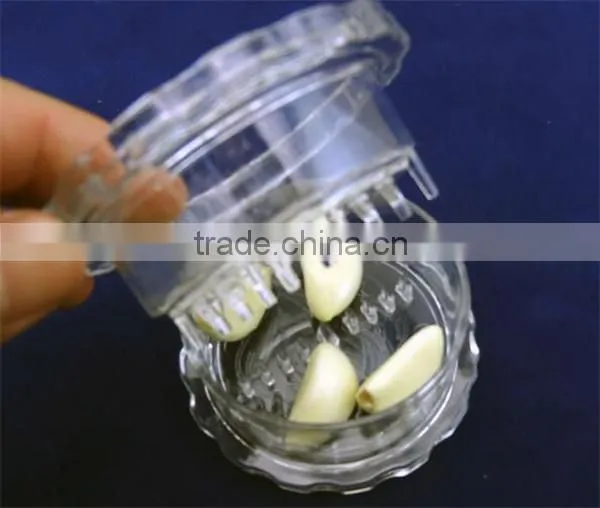HOT Multipurpose Plastic Kitchen Garlic Ginger Mincer
