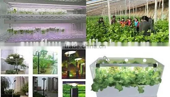 High power 17W effect Plant Grow Light