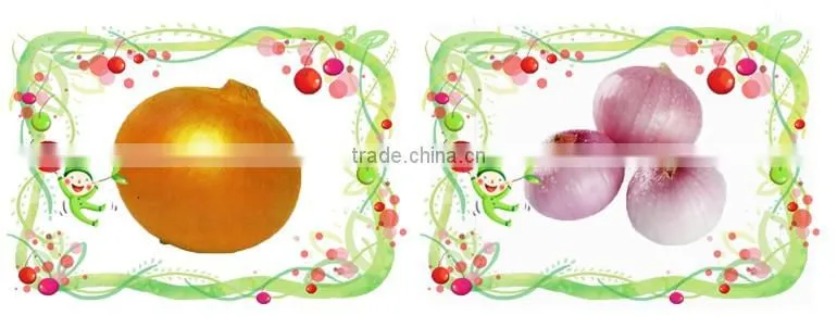 World Best Selling Products Grade A Fresh Onions