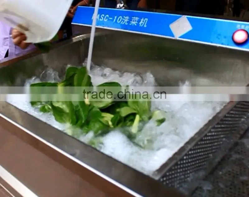 WASC-10 High Efficiency Leaf Vegetable Washer Cleaner Cleaning Machine