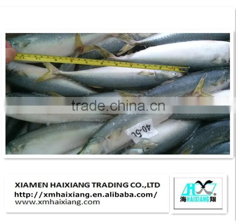 Frozen tilapia price