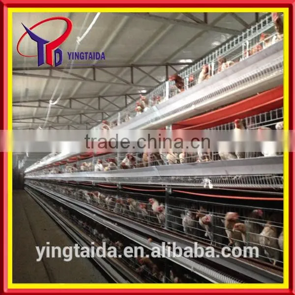 High quality design layer chicken cages for Kenya poultry farm ( full poultry equipment)