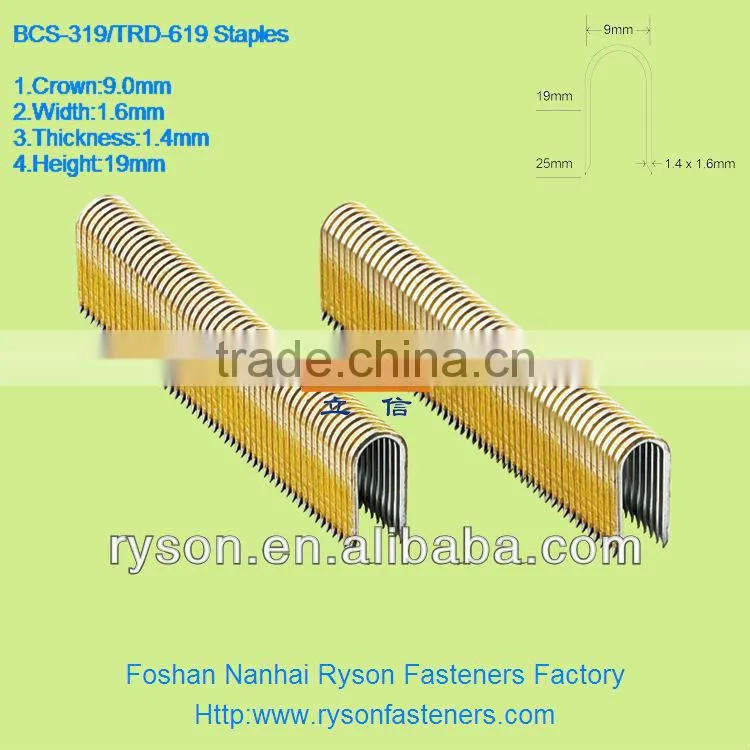 BCS-319 Staple Nails